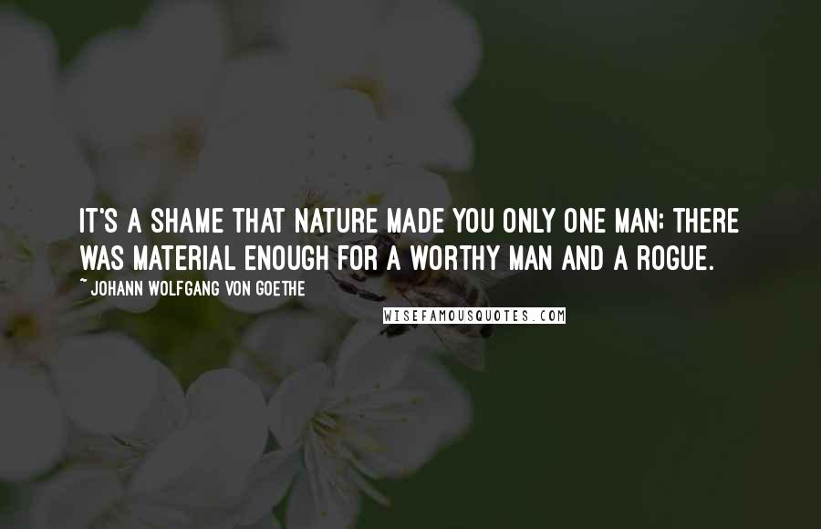 Johann Wolfgang Von Goethe Quotes: It's a shame that Nature made you only one man; there was material enough for a worthy man and a rogue.