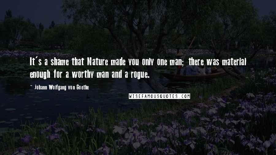 Johann Wolfgang Von Goethe Quotes: It's a shame that Nature made you only one man; there was material enough for a worthy man and a rogue.