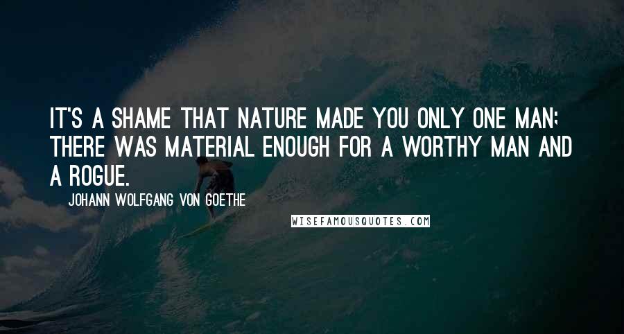 Johann Wolfgang Von Goethe Quotes: It's a shame that Nature made you only one man; there was material enough for a worthy man and a rogue.