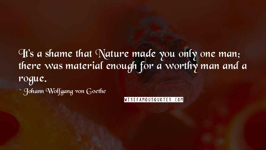 Johann Wolfgang Von Goethe Quotes: It's a shame that Nature made you only one man; there was material enough for a worthy man and a rogue.