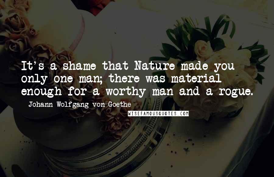 Johann Wolfgang Von Goethe Quotes: It's a shame that Nature made you only one man; there was material enough for a worthy man and a rogue.