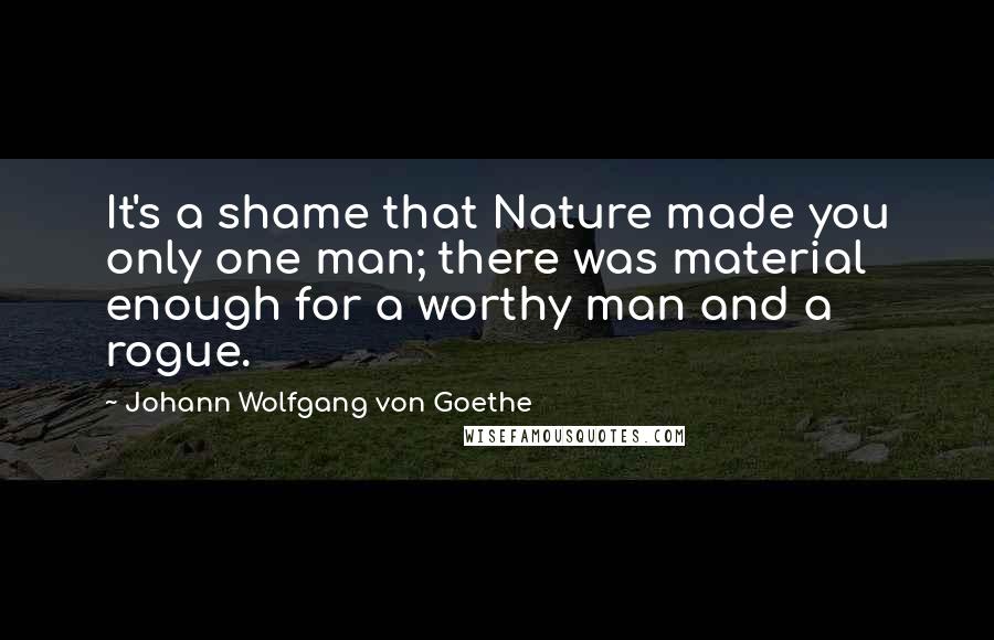 Johann Wolfgang Von Goethe Quotes: It's a shame that Nature made you only one man; there was material enough for a worthy man and a rogue.