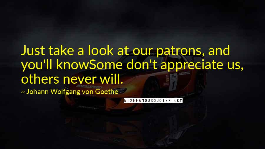 Johann Wolfgang Von Goethe Quotes: Just take a look at our patrons, and you'll knowSome don't appreciate us, others never will.