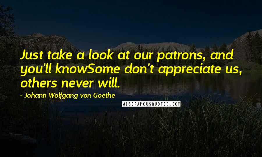 Johann Wolfgang Von Goethe Quotes: Just take a look at our patrons, and you'll knowSome don't appreciate us, others never will.