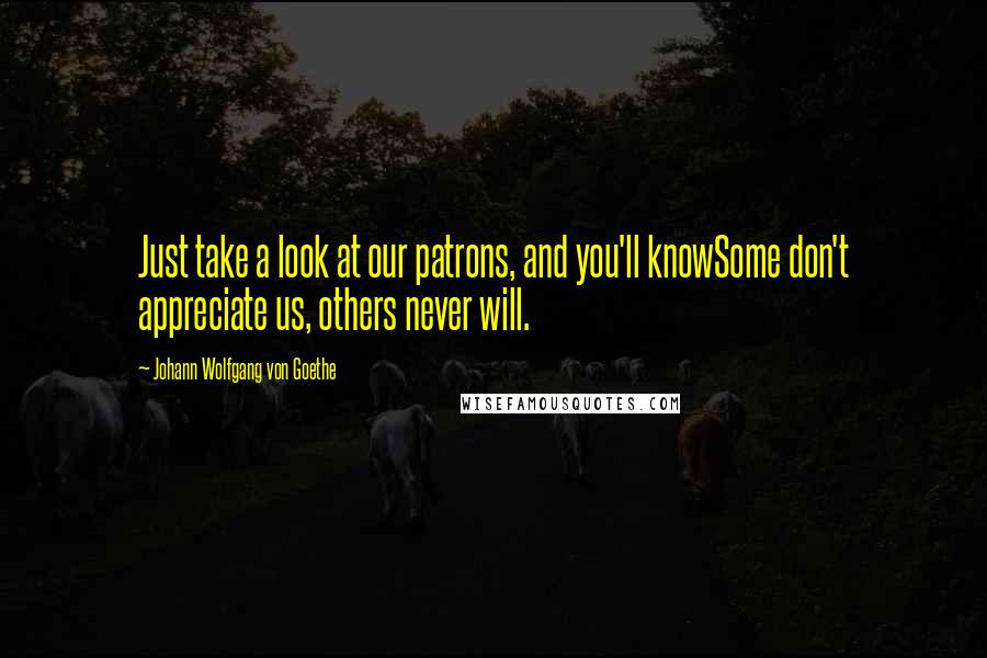Johann Wolfgang Von Goethe Quotes: Just take a look at our patrons, and you'll knowSome don't appreciate us, others never will.