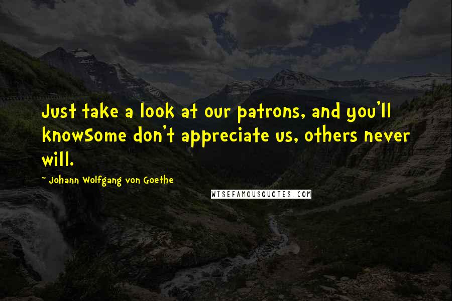 Johann Wolfgang Von Goethe Quotes: Just take a look at our patrons, and you'll knowSome don't appreciate us, others never will.