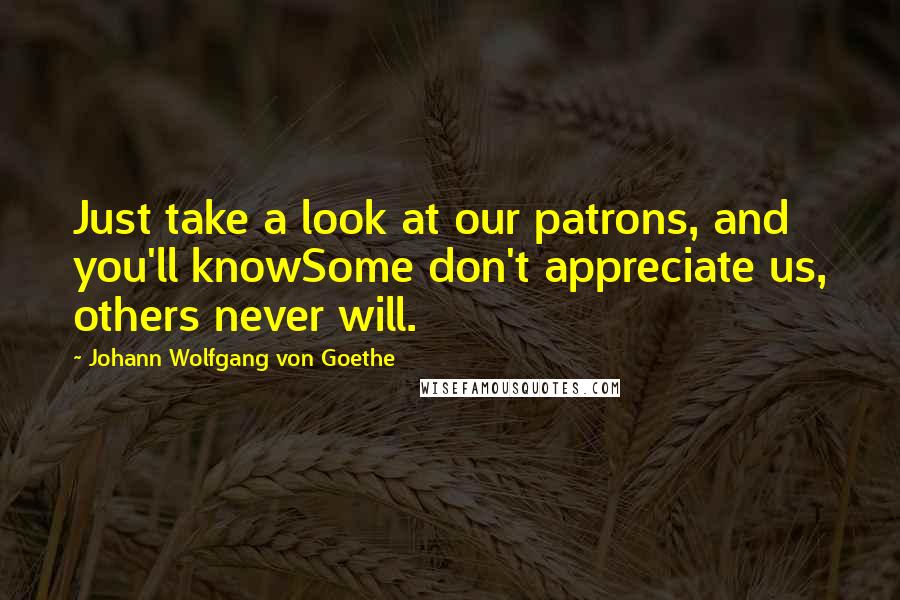 Johann Wolfgang Von Goethe Quotes: Just take a look at our patrons, and you'll knowSome don't appreciate us, others never will.
