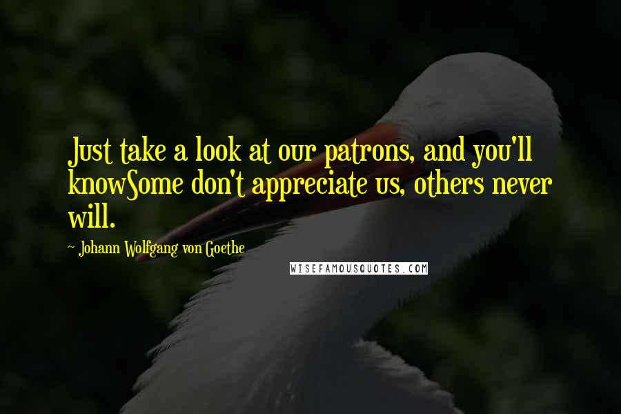 Johann Wolfgang Von Goethe Quotes: Just take a look at our patrons, and you'll knowSome don't appreciate us, others never will.