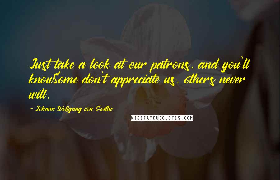 Johann Wolfgang Von Goethe Quotes: Just take a look at our patrons, and you'll knowSome don't appreciate us, others never will.