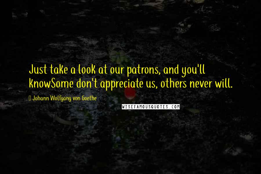 Johann Wolfgang Von Goethe Quotes: Just take a look at our patrons, and you'll knowSome don't appreciate us, others never will.