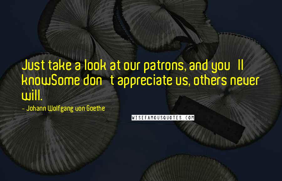 Johann Wolfgang Von Goethe Quotes: Just take a look at our patrons, and you'll knowSome don't appreciate us, others never will.