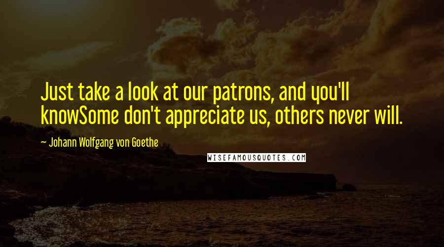 Johann Wolfgang Von Goethe Quotes: Just take a look at our patrons, and you'll knowSome don't appreciate us, others never will.