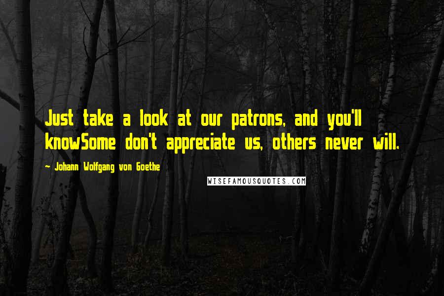Johann Wolfgang Von Goethe Quotes: Just take a look at our patrons, and you'll knowSome don't appreciate us, others never will.