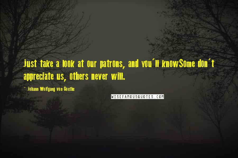 Johann Wolfgang Von Goethe Quotes: Just take a look at our patrons, and you'll knowSome don't appreciate us, others never will.