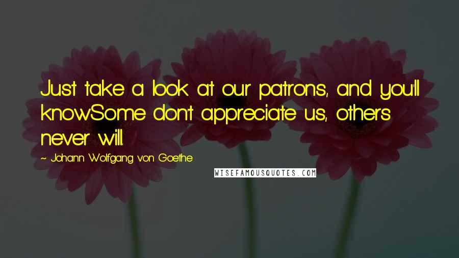 Johann Wolfgang Von Goethe Quotes: Just take a look at our patrons, and you'll knowSome don't appreciate us, others never will.