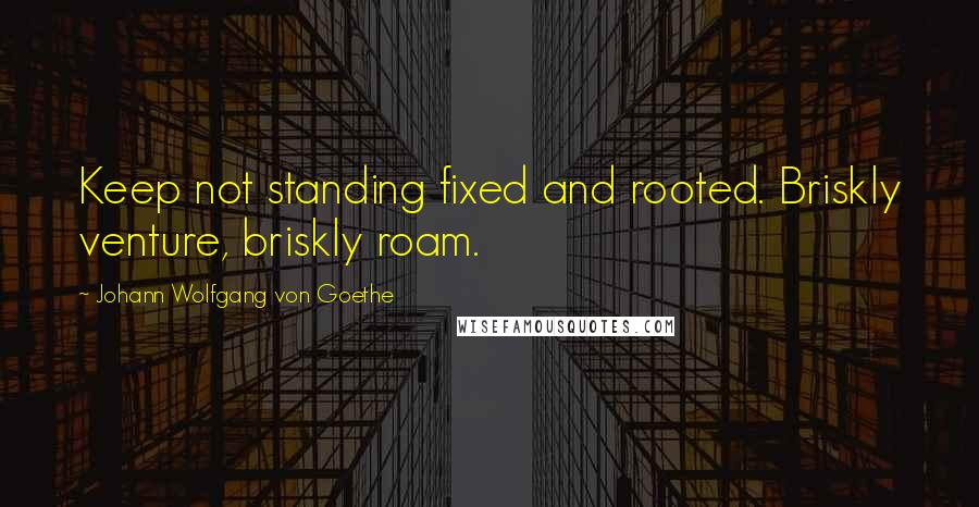 Johann Wolfgang Von Goethe Quotes: Keep not standing fixed and rooted. Briskly venture, briskly roam.