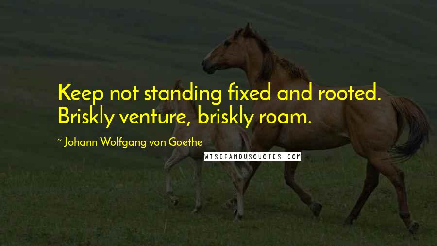 Johann Wolfgang Von Goethe Quotes: Keep not standing fixed and rooted. Briskly venture, briskly roam.