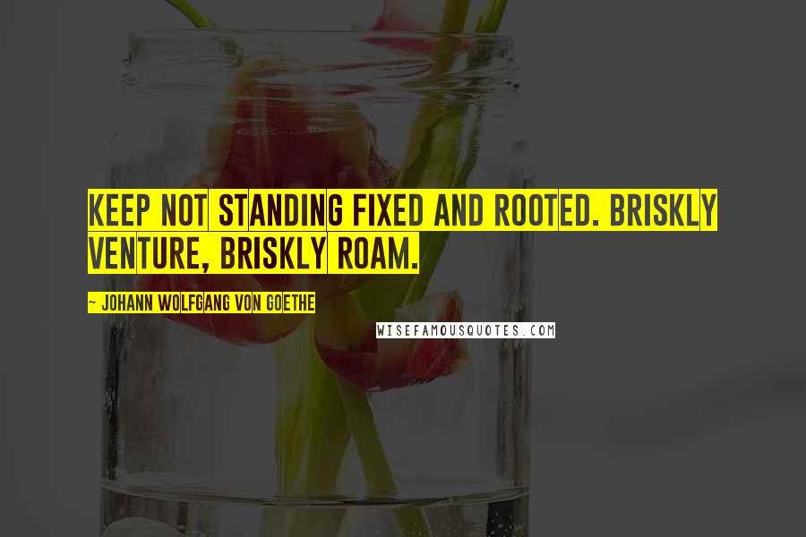 Johann Wolfgang Von Goethe Quotes: Keep not standing fixed and rooted. Briskly venture, briskly roam.