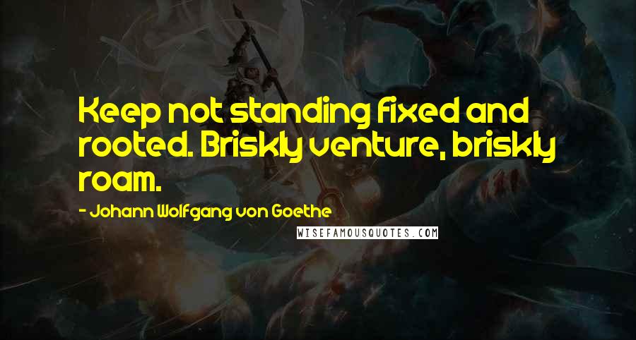 Johann Wolfgang Von Goethe Quotes: Keep not standing fixed and rooted. Briskly venture, briskly roam.