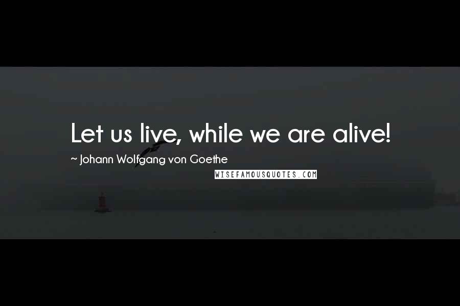 Johann Wolfgang Von Goethe Quotes: Let us live, while we are alive!