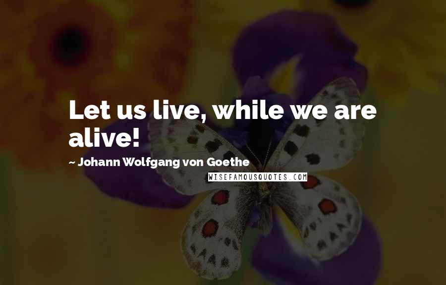 Johann Wolfgang Von Goethe Quotes: Let us live, while we are alive!