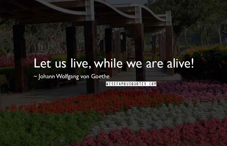 Johann Wolfgang Von Goethe Quotes: Let us live, while we are alive!