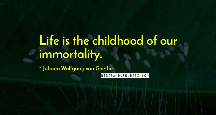 Johann Wolfgang Von Goethe Quotes: Life is the childhood of our immortality.