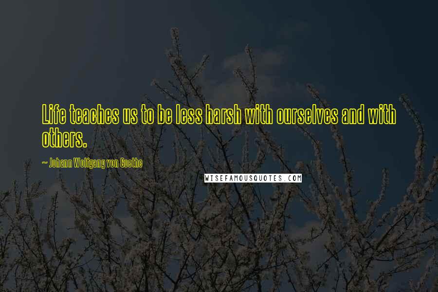 Johann Wolfgang Von Goethe Quotes: Life teaches us to be less harsh with ourselves and with others.