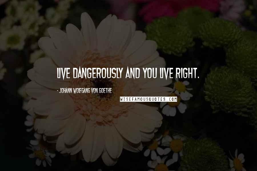 Johann Wolfgang Von Goethe Quotes: Live dangerously and you live right.