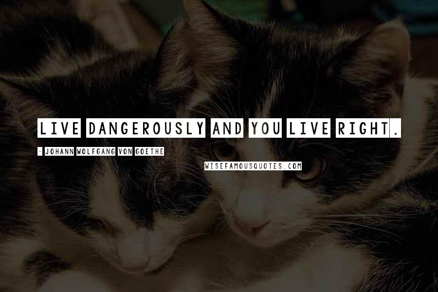 Johann Wolfgang Von Goethe Quotes: Live dangerously and you live right.