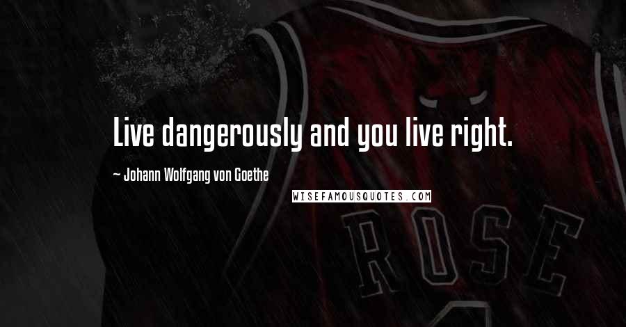 Johann Wolfgang Von Goethe Quotes: Live dangerously and you live right.