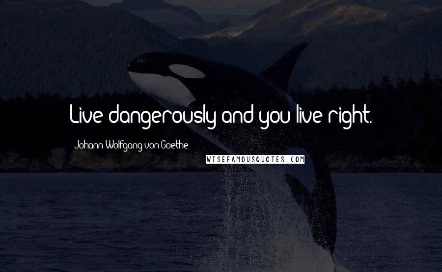 Johann Wolfgang Von Goethe Quotes: Live dangerously and you live right.