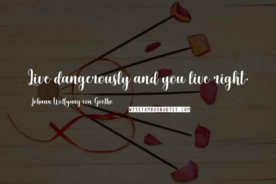 Johann Wolfgang Von Goethe Quotes: Live dangerously and you live right.