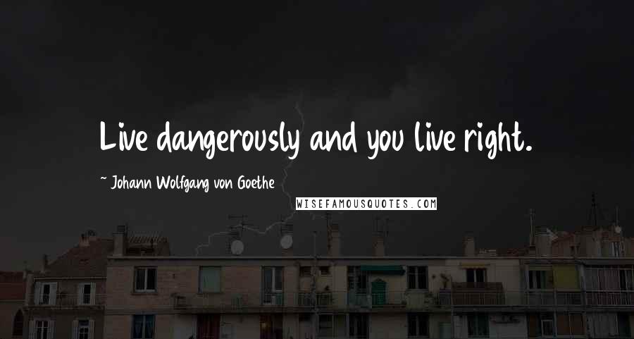Johann Wolfgang Von Goethe Quotes: Live dangerously and you live right.