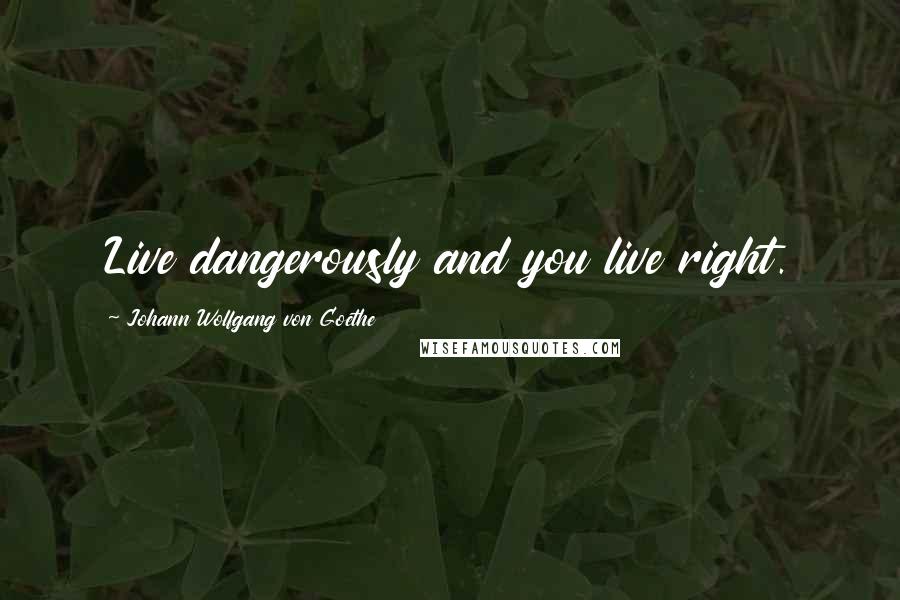Johann Wolfgang Von Goethe Quotes: Live dangerously and you live right.