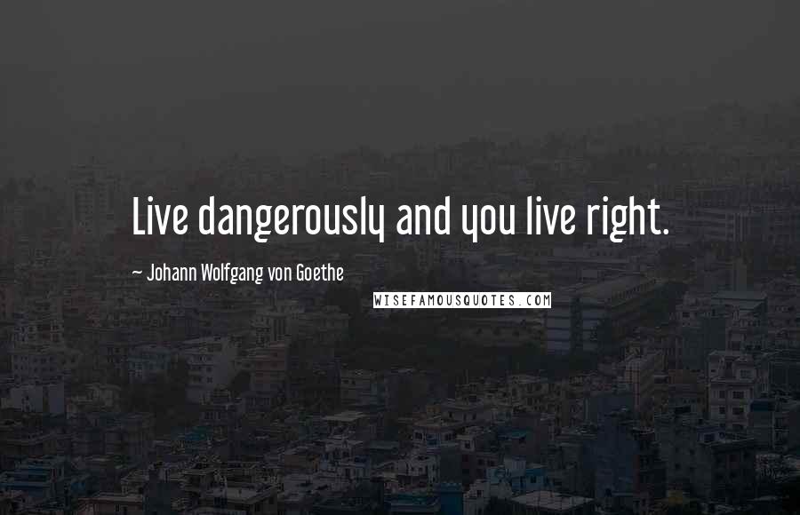 Johann Wolfgang Von Goethe Quotes: Live dangerously and you live right.
