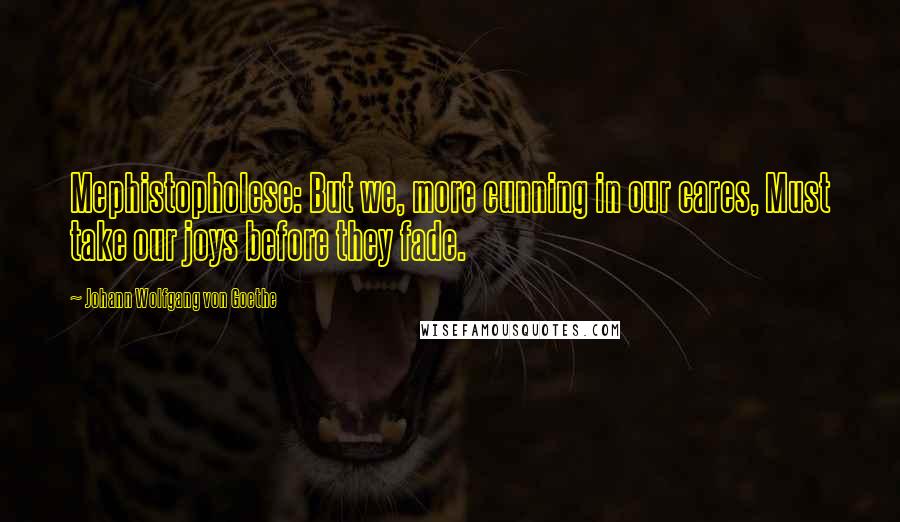 Johann Wolfgang Von Goethe Quotes: Mephistopholese: But we, more cunning in our cares, Must take our joys before they fade.