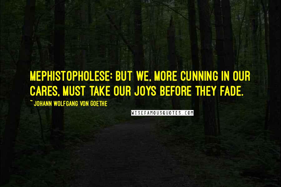 Johann Wolfgang Von Goethe Quotes: Mephistopholese: But we, more cunning in our cares, Must take our joys before they fade.