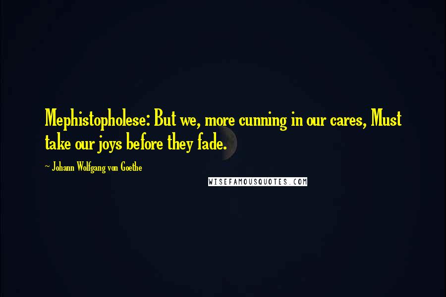 Johann Wolfgang Von Goethe Quotes: Mephistopholese: But we, more cunning in our cares, Must take our joys before they fade.