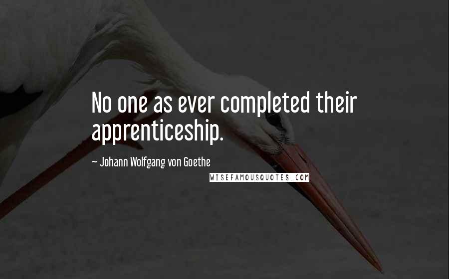 Johann Wolfgang Von Goethe Quotes: No one as ever completed their apprenticeship.