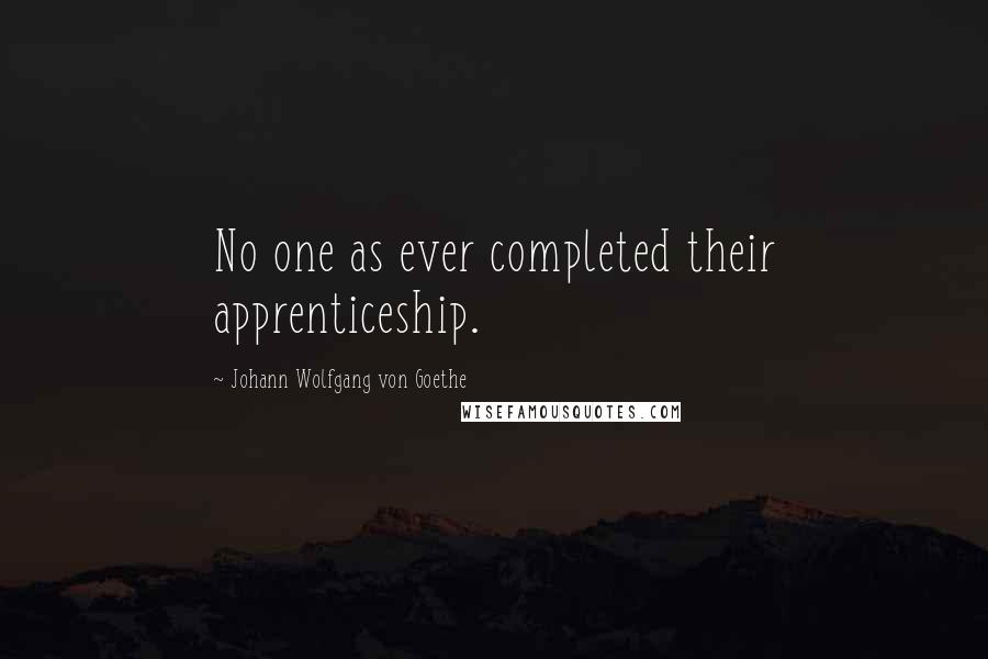 Johann Wolfgang Von Goethe Quotes: No one as ever completed their apprenticeship.