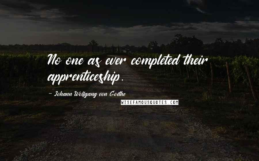 Johann Wolfgang Von Goethe Quotes: No one as ever completed their apprenticeship.