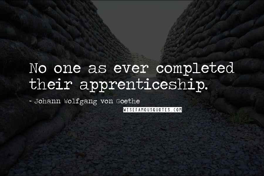 Johann Wolfgang Von Goethe Quotes: No one as ever completed their apprenticeship.
