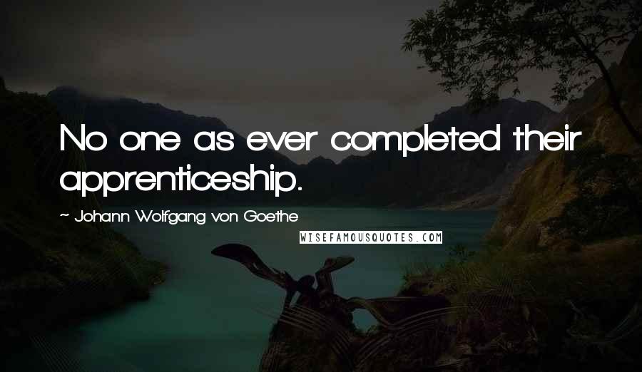 Johann Wolfgang Von Goethe Quotes: No one as ever completed their apprenticeship.