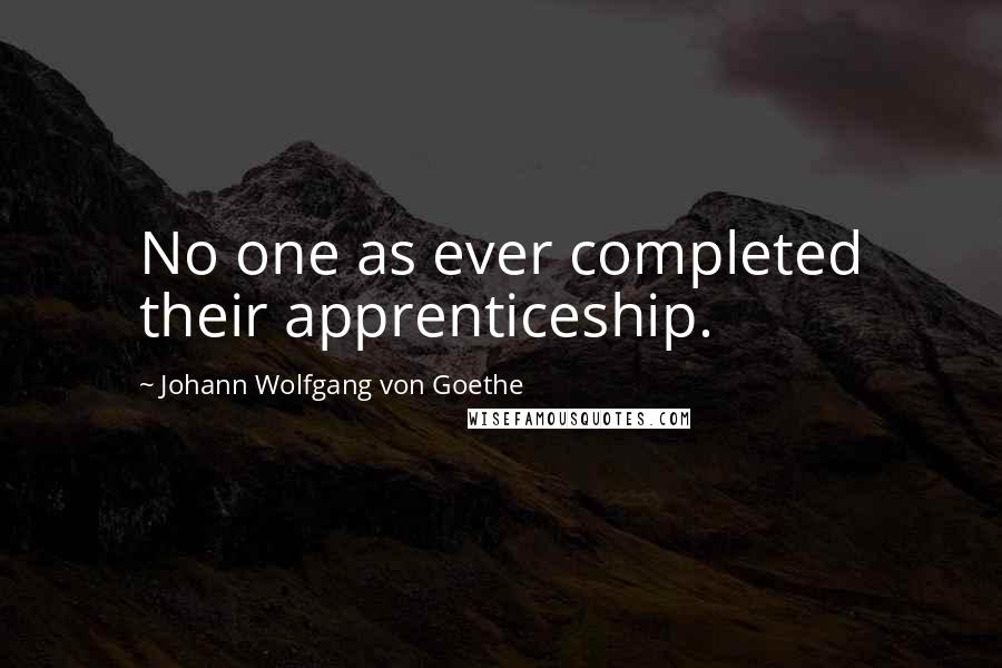 Johann Wolfgang Von Goethe Quotes: No one as ever completed their apprenticeship.