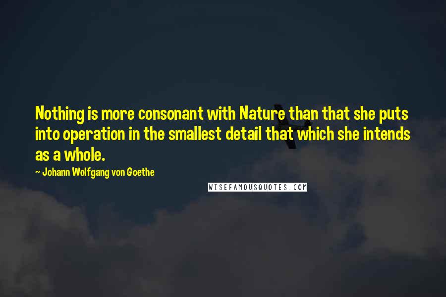 Johann Wolfgang Von Goethe Quotes: Nothing is more consonant with Nature than that she puts into operation in the smallest detail that which she intends as a whole.