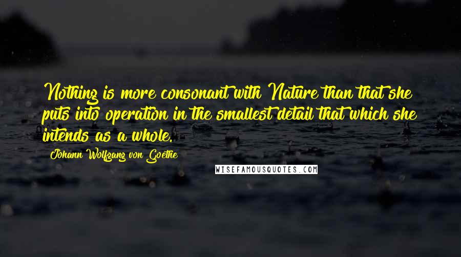 Johann Wolfgang Von Goethe Quotes: Nothing is more consonant with Nature than that she puts into operation in the smallest detail that which she intends as a whole.