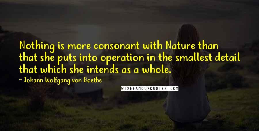 Johann Wolfgang Von Goethe Quotes: Nothing is more consonant with Nature than that she puts into operation in the smallest detail that which she intends as a whole.