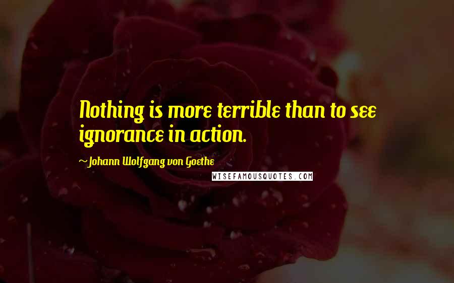 Johann Wolfgang Von Goethe Quotes: Nothing is more terrible than to see ignorance in action.