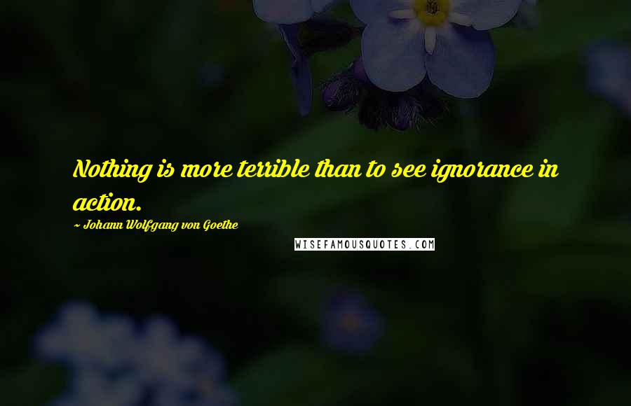 Johann Wolfgang Von Goethe Quotes: Nothing is more terrible than to see ignorance in action.